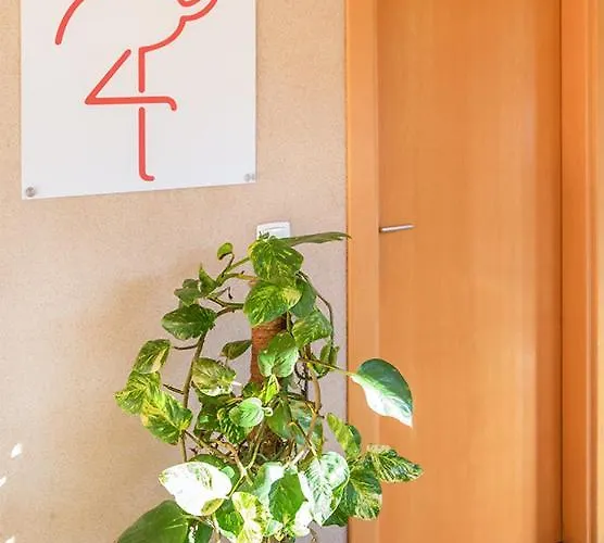 Apartamento Sofiamarholidays -casa Flamingo *