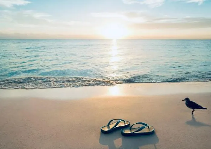 Sofiamarholidays -casa Flamingo Portimão