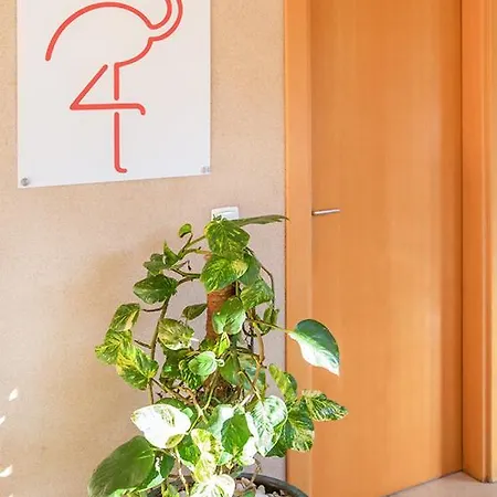 Apartment Sofiamarholidays -casa Flamingo *